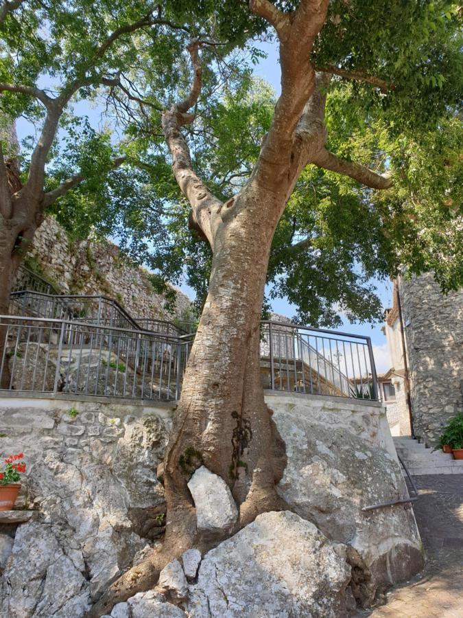 Castelnuovo Parano Casa Di Mamma Rosaヴィラ エクステリア 写真