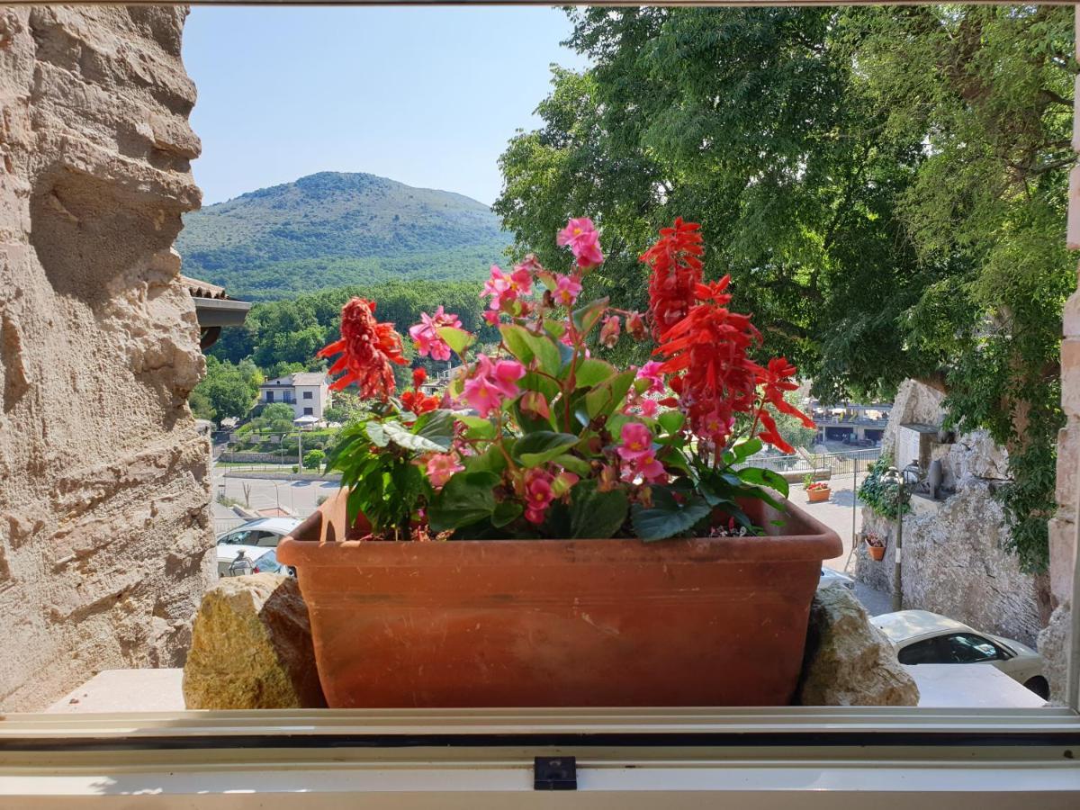 Castelnuovo Parano Casa Di Mamma Rosaヴィラ エクステリア 写真